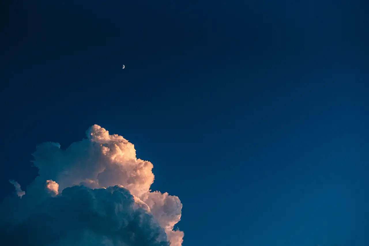 Nature photograph 11