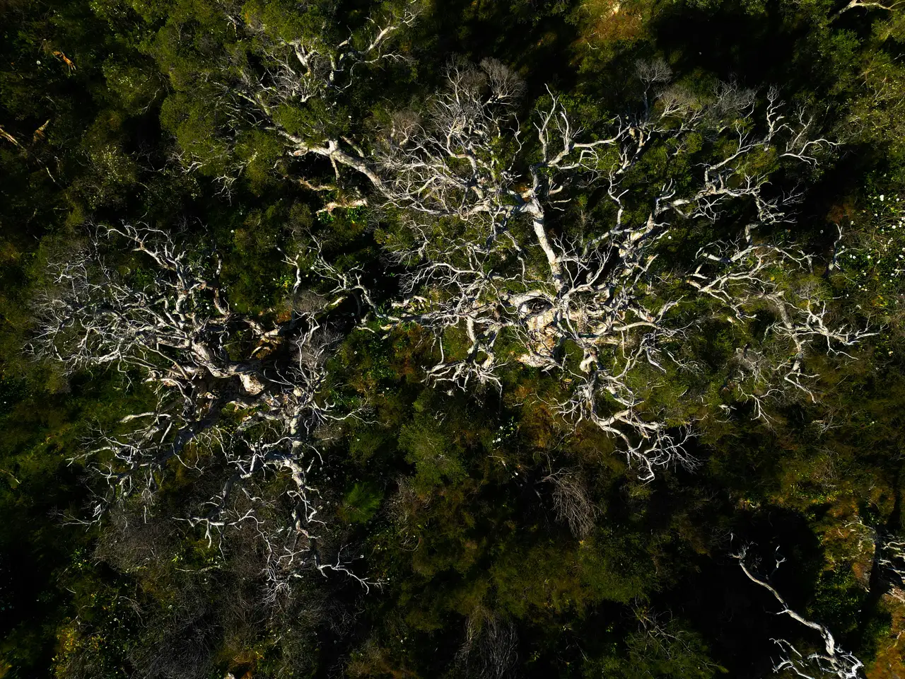 Nature photograph 13