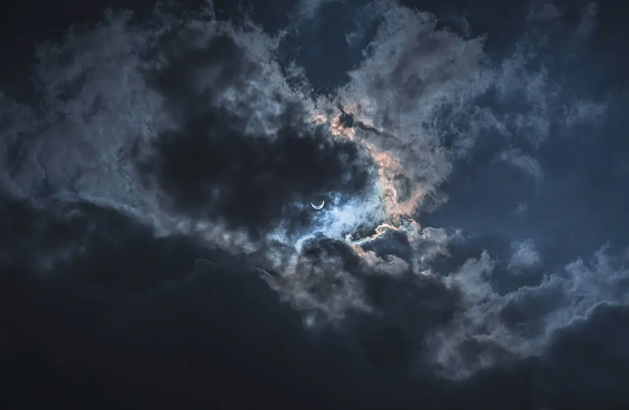 Nature photograph 22